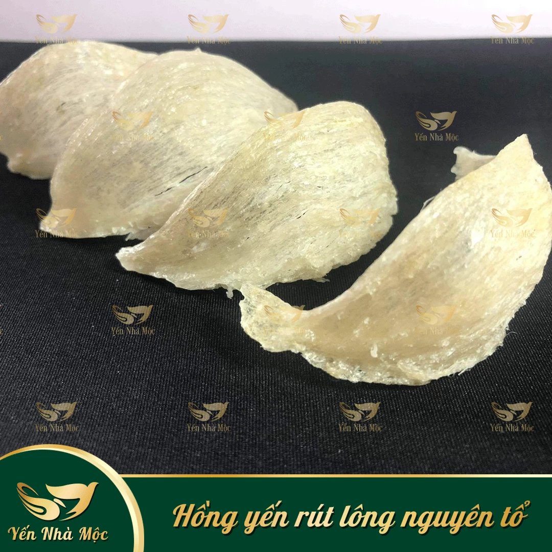 HỒNG YẾN RÚT LÔNG