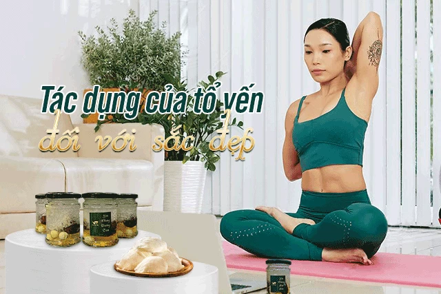 Tác dụng của tổ yến cho sức khỏe & sắc đẹp