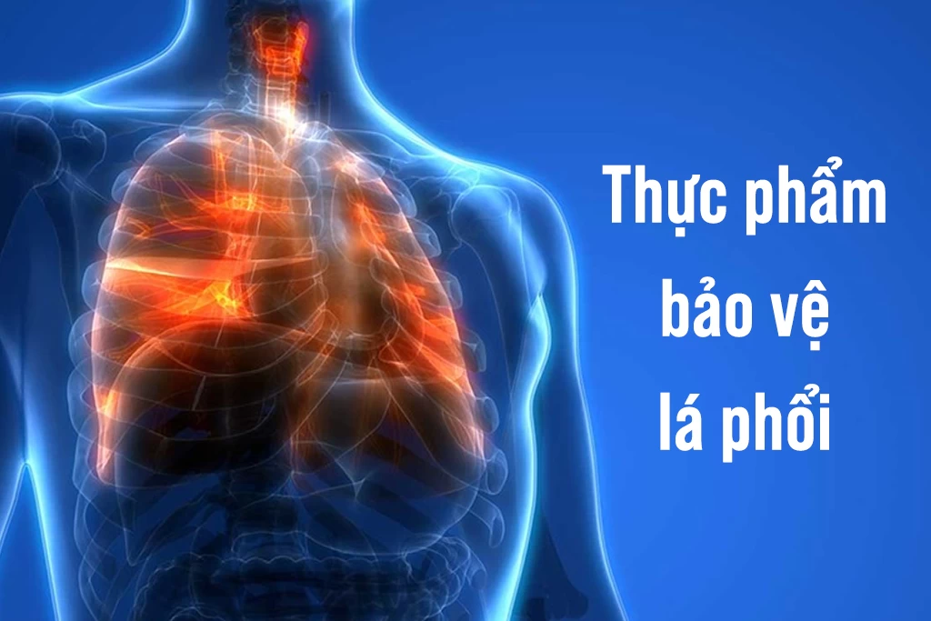 Yến sào - Thực phẩm bảo vệ hệ hô hấp