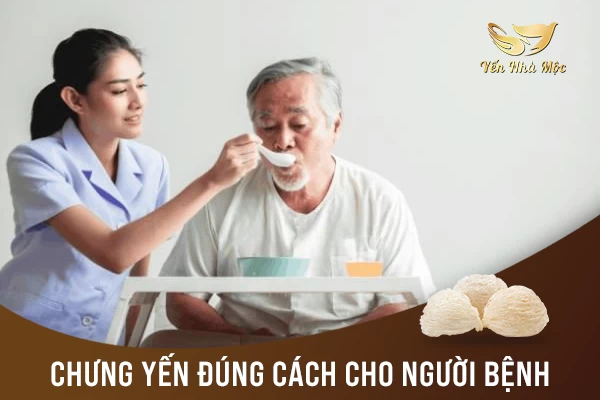 CHƯNG YẾN SÀO CHO NGƯỜI BỆNH ĐÚNG CÁCH